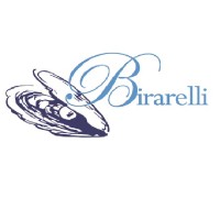 Birarelli Insurance Agency, LLC logo - Similar company to Nxg Insurance Group
