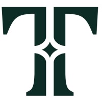 TRUEHELM logo - Similar company to Efinstech Inc
