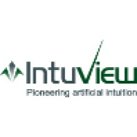 IntuView logo - Similar company to Hitech In Emhamoshavot