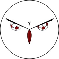 Futebol Coruja logo - Similar company to Gamer Trials