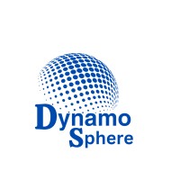 Dynamo Sphere Digital Solutions Pvt. Ltd logo - Similar company to Endorphins Technology & Consultancy Pvt. Ltd.