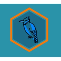 Blue Jay Digital Marketing