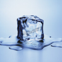 TECNICA DEL FREDDO SRL logo - Similar company to Madefrigor S.R.L.