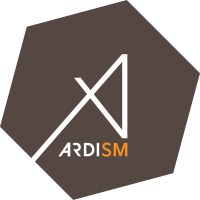 Ardism logo - Similar company to Znt Sim