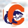 PESCADOS CAÑETE  BORAO SL logo - Similar company to Mariscos Daporta S.L.