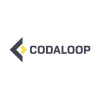 Codaloop logo - Similar company to Van Dis Solutions B.V.