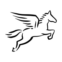 Pegasus Pro GmbH logo - Similar company to Artefactum Gmbh