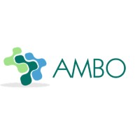AMBO System Management Consulting s.r.l. logo - Similar company to Ambo Consulting