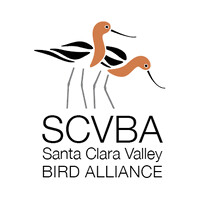 SANTA CLARA VALLEY BIRD ALLIANCE logo - Similar company to Sean Garcia Psychotherapy