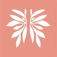 Terra Kind Studio Co. logo - Similar company to Studio Gh ⚡️ Art & Design