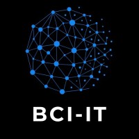 BCI~IT logo - Similar company to Risetime