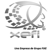 XEFI SECURITY logo - Similar company to Sis - Innovative Security Solutions