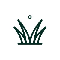 MoreSkunk NGO logo - Similar company to Snapfi