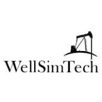 WellSimTech logo - Similar company to ExperWELL®