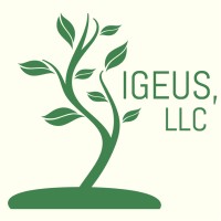 Igeus LLC logo - Similar company to Stanmat Scientific