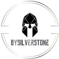 BySilverStone logo - Similar company to Htt.Dronos