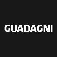 Guadagni S.p.A. logo - Similar company to Meridiano S.P.A.
