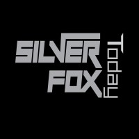 Silver Fox Toady logo - Similar company to Lean Sigma It Solutions