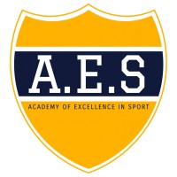 Academy of Excellence in Sport logo - Similar company to Academy Orthopedics