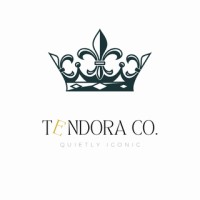 TENDORA.CO logo - Similar company to Gospace Llc
