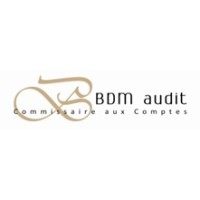 BDM AUDIT logo - Similar company to Zeppelin Conseils