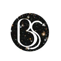 BrianSpace logo - Similar company to Contributor X
