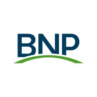 Buffalo Niagara Partnership logo - Similar company to Techbuffalo