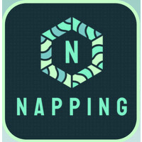 NAPPING AI logo - Similar company to Anu School Of Computing
