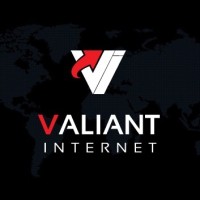 Valiant Internet Private Limited logo - Similar company to 24 Hrs Internet Cafe