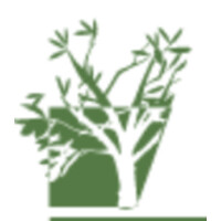 Cse Investments Ltd.