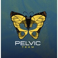 PelvicTeam logo - Similar company to Venous Symposium