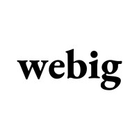 Webig International logo - Similar company to Hitchbird