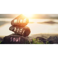 Synergy Wellbeing Solutions logo - Similar company to Alive. Cape Town