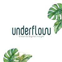 Underflow CDI logo - Similar company to Raydirections