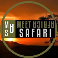 Meet Africa Safari logo - Similar company to Meet Africa