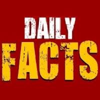Daily Meme logo - Similar company to Cambrian Containers