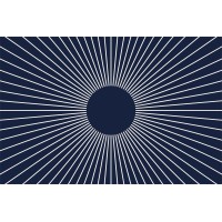 Praxis logo - Similar company to Oxy