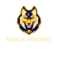 Nexus Trader logo - Similar company to Nexus-Trade