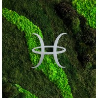 Himsben Design Studio