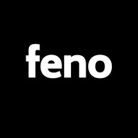 Fenofootball logo - Similar company to Human Divergence