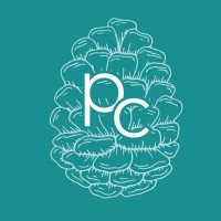 Pinecone Coaching Llc