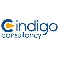 Indigo Consultancy logo - Similar company to Skyvik