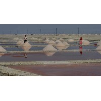 Kharaghoda Salt Works Private Limited logo - Similar company to Agrisetu