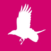 Studio Corvus logo - Similar company to Shoredup Teams