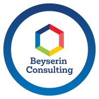 Beyserin Consulting logo - Similar company to Debug Experts