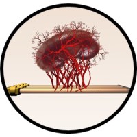 Nextgen BioX Inc logo - Similar company to Equitech Therapeutics, Llc