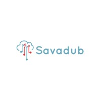 Savadub Limited logo - Similar company to Stream Fintech