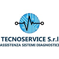 Tecnoservice S.r.l. logo - Similar company to G.Group Srl