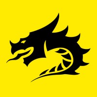 Black Dragon Studios logo - Similar company to Wales Interactive
