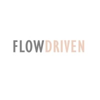 Flowdriven logo - Similar company to Servicios Logísticos Nura S.R.L